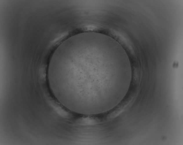 X0000096690545200802051349