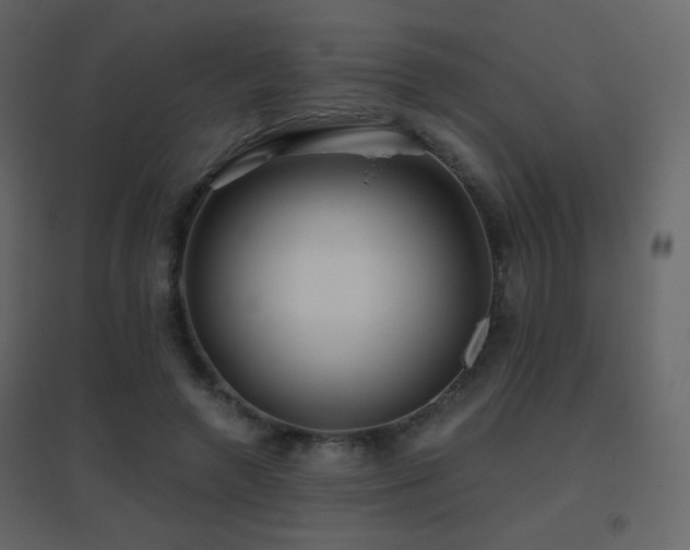 X0000096690546200802051349