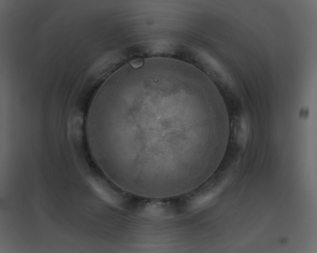 X0000096690550200802051349