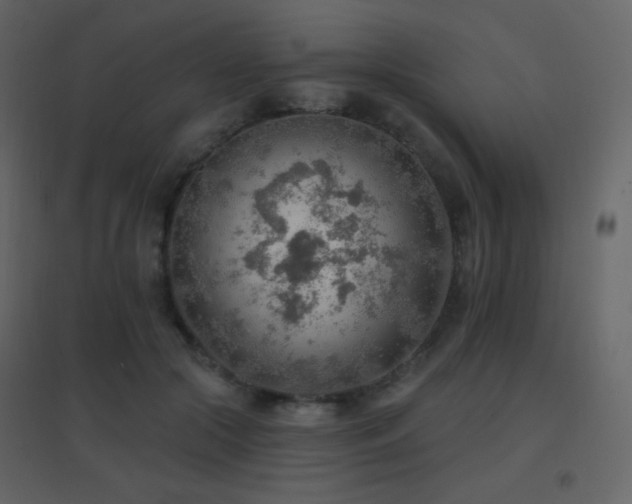 X0000096690553200802051349