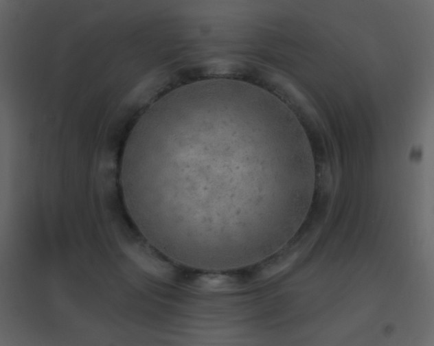 X0000096690557200802051349