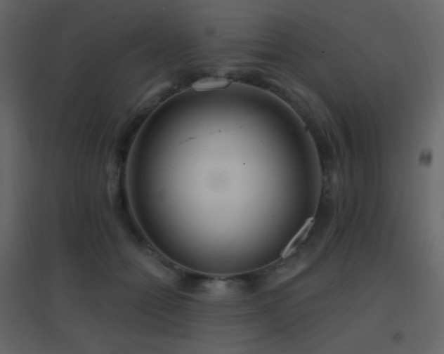 X0000096690558200802051349