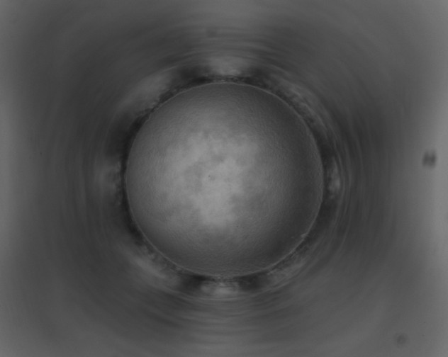 X0000096690559200802051349