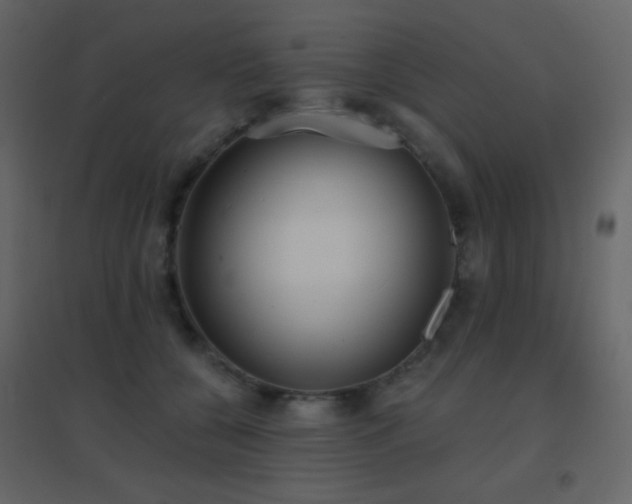 X0000096690560200802051349