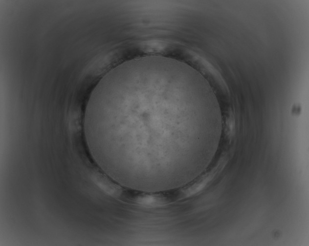 X0000096690561200802051349