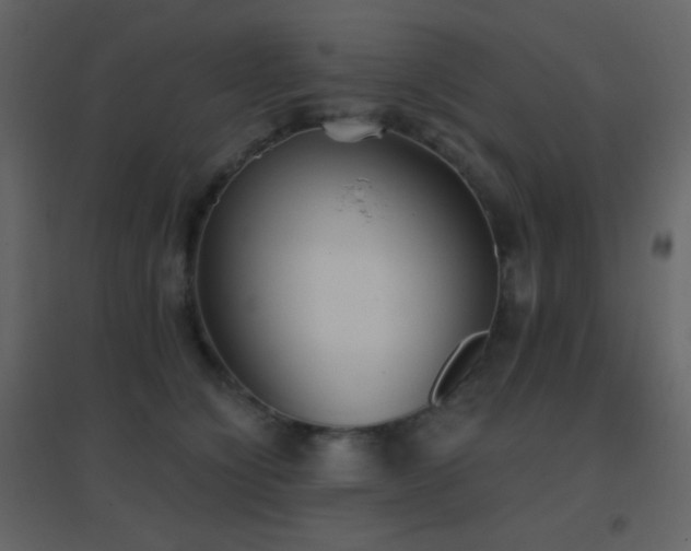 X0000096690564200802051349