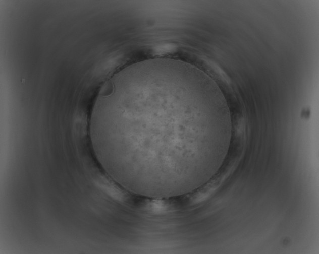 X0000096690565200802051349