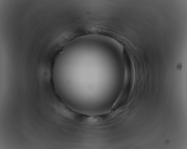 X0000096690566200802051349