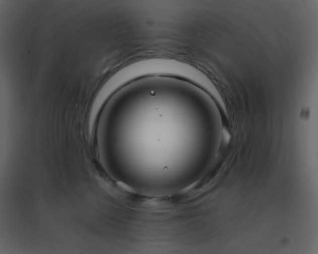 X0000096690568200802051349