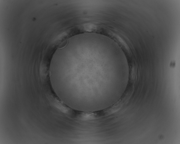 X0000096690569200802051349