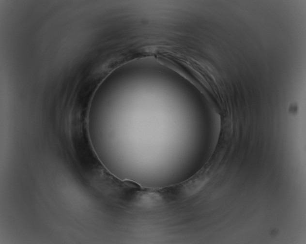 X0000096690572200802051350