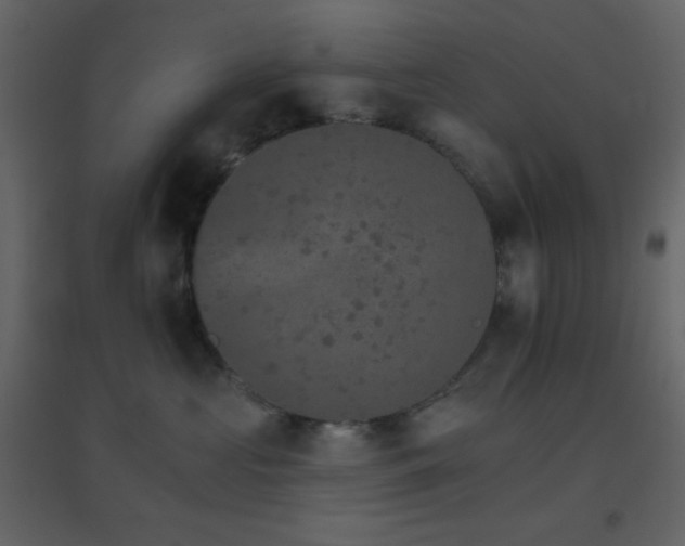 X0000096690573200802051350