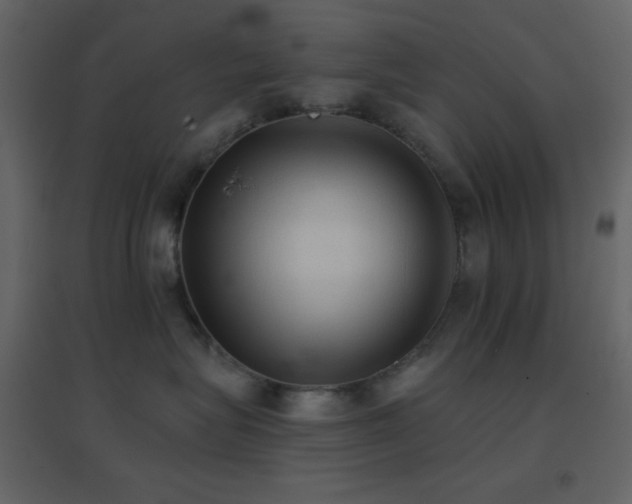 X0000096690575200802051350