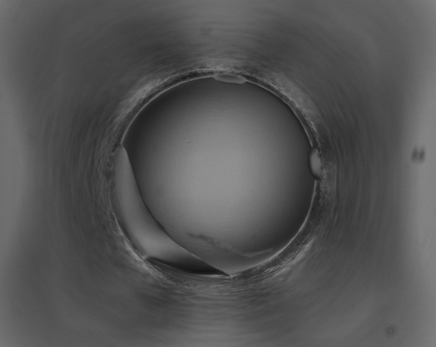 X0000096690577200802051349