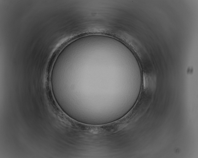 X0000096690579200802051349