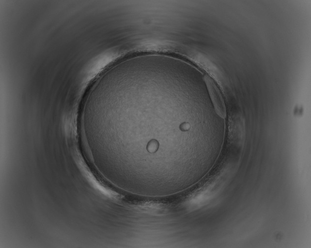 X0000096690581200802051349