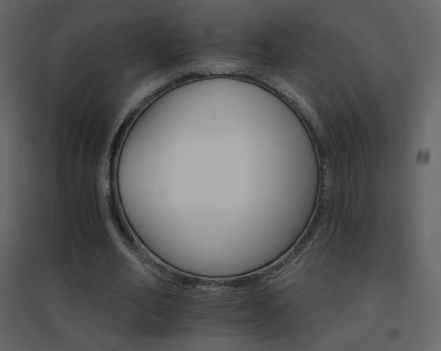 X0000096690582200802051349