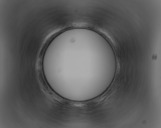 X0000096690583200802051349