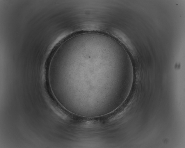 X0000096690584200802051349