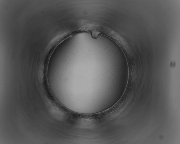 X0000096690586200802051349