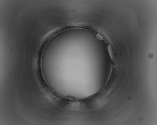 X0000096690587200802051349