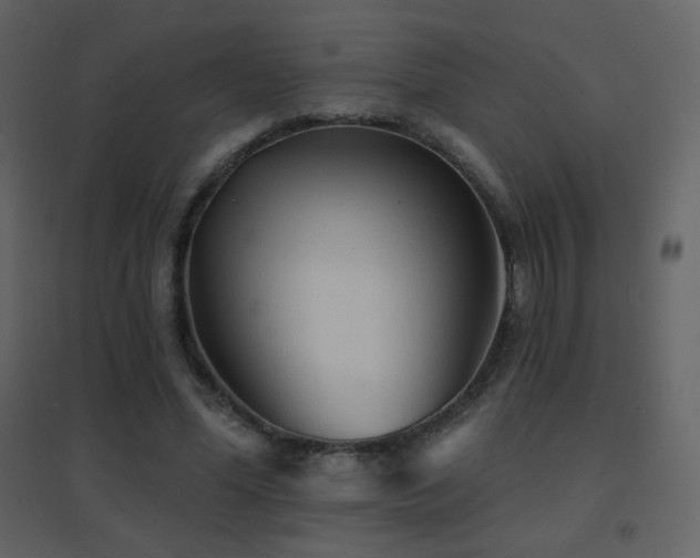 X0000096690588200802051349