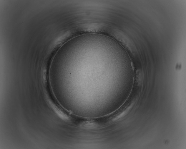 X0000096690589200802051349