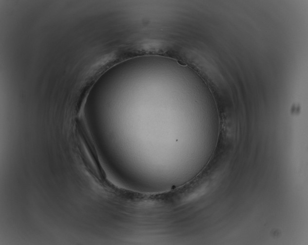 X0000096690593200802051348