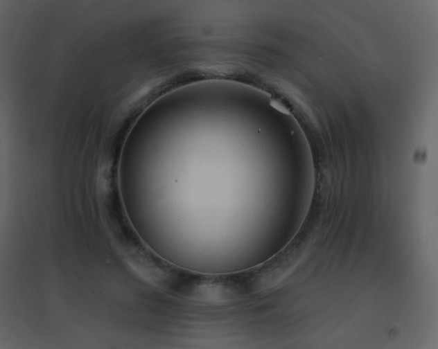 X0000096690596200802051348