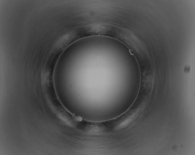 X0000096690597200802051348