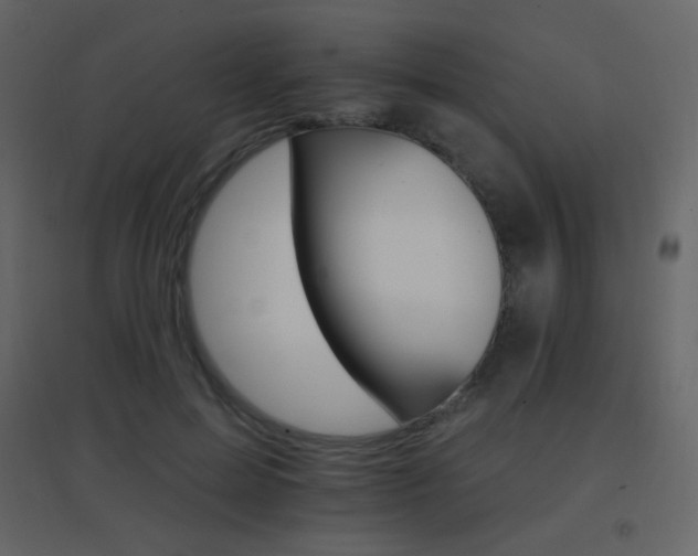 X0000096690599200802051348