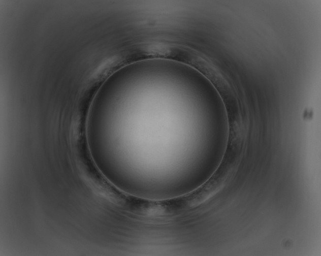 X0000096690600200802051348