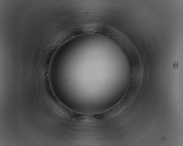 X0000096690601200802051348