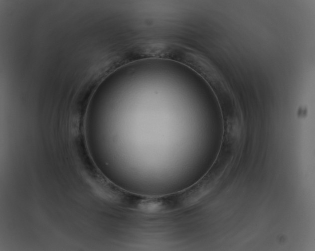 X0000096690602200802051348