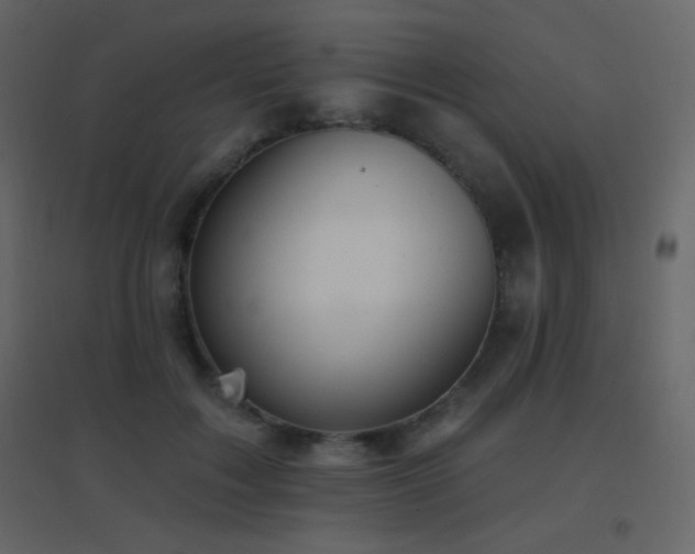 X0000096690603200802051348