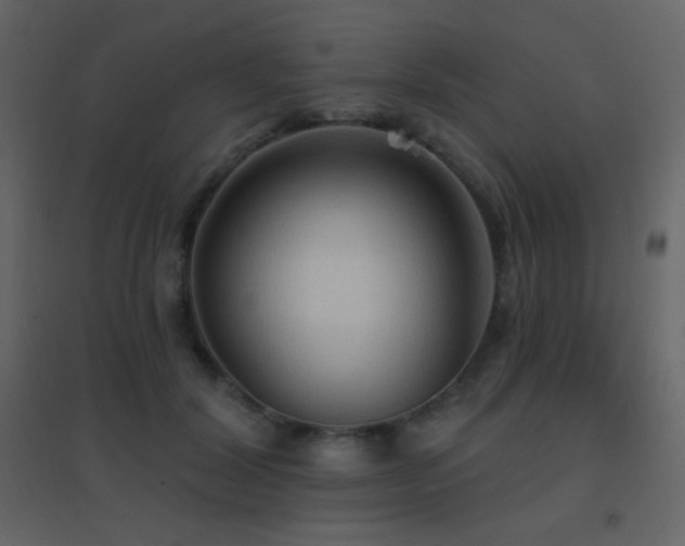 X0000096690604200802051348