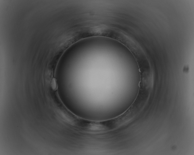 X0000096690605200802051348