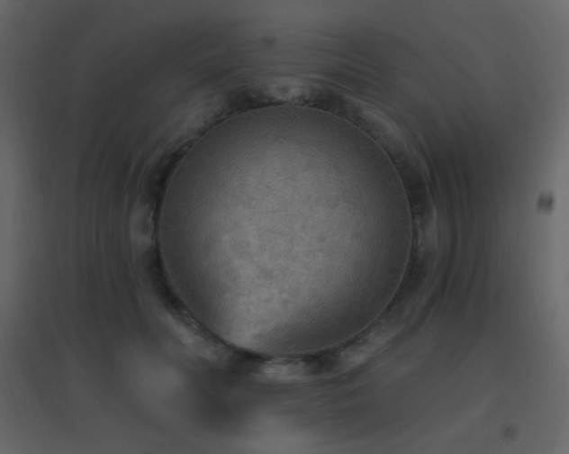 X0000096690606200802051348