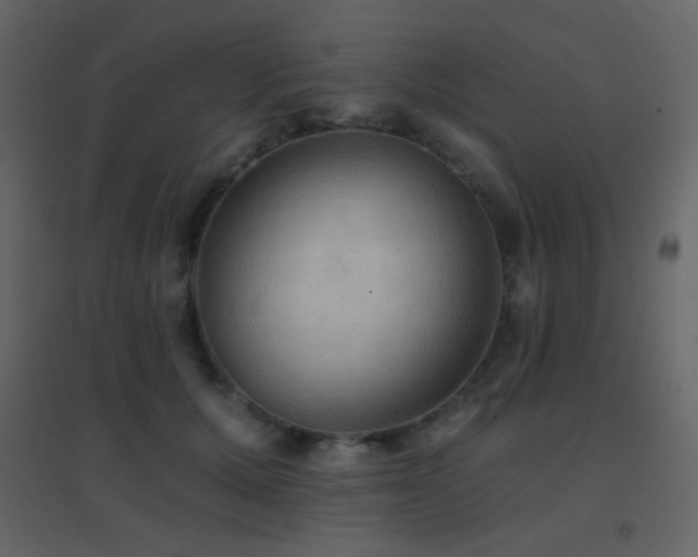 X0000096690607200802051348