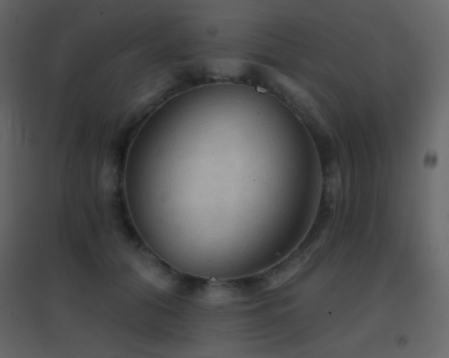 X0000096690608200802051348