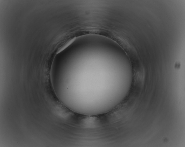 X0000096690609200802051348