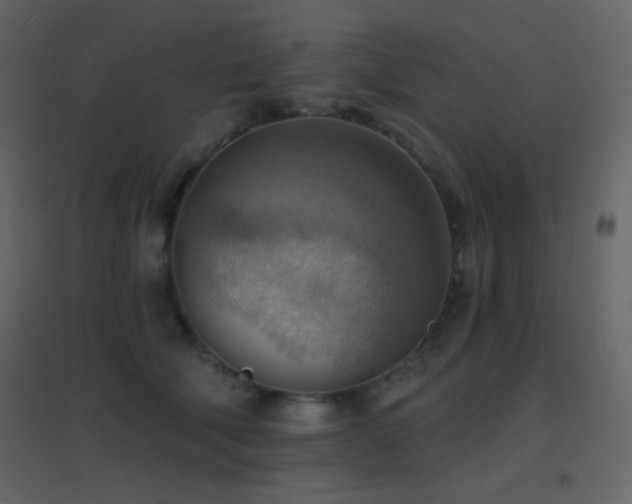 X0000096690610200802051348