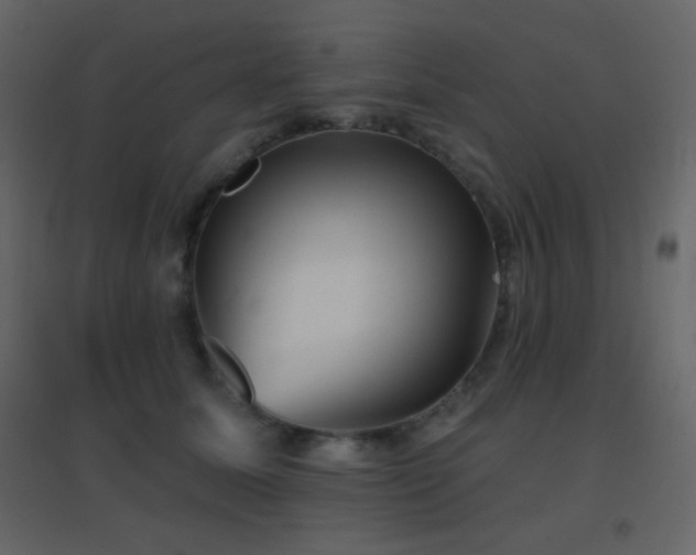 X0000096690611200802051348