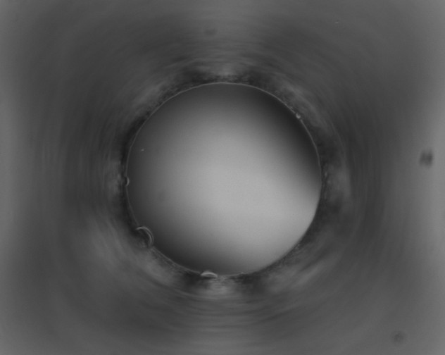 X0000096690612200802051348