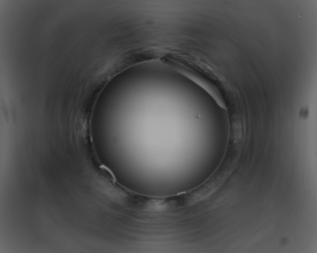 X0000096690613200802051348