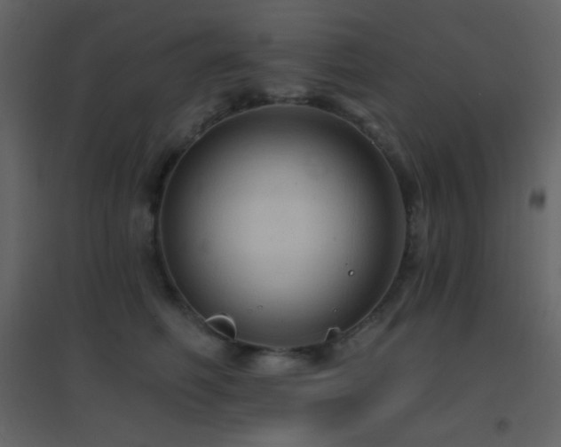 X0000096690614200802051348