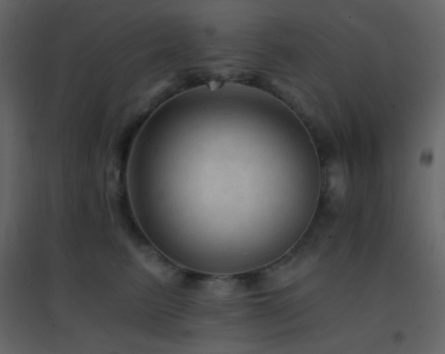 X0000096690615200802051348