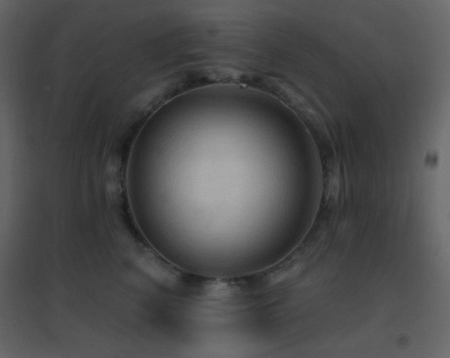 X0000096690616200802051348