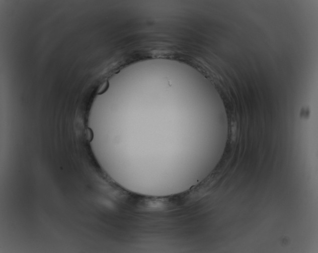 X0000096690618200802051348