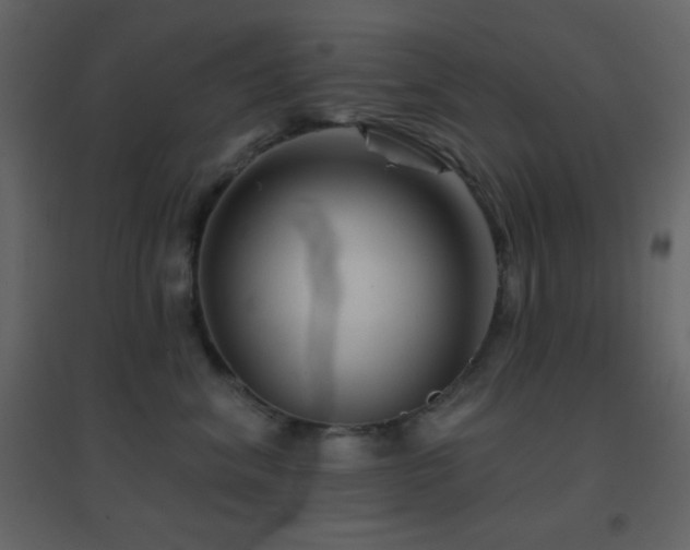 X0000096690620200802051348